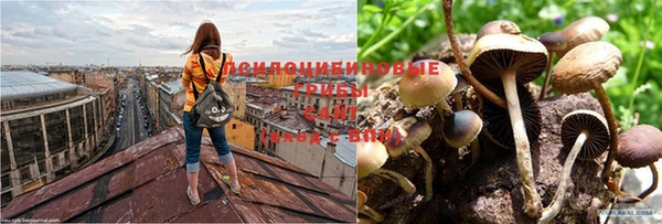 мяу мяу мука Осинники